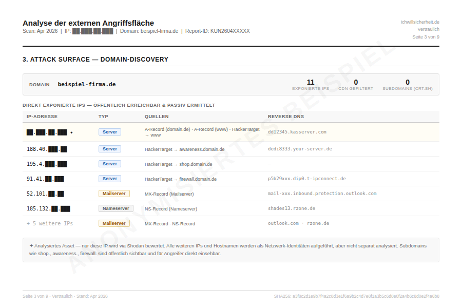 Attack Surface Discovery